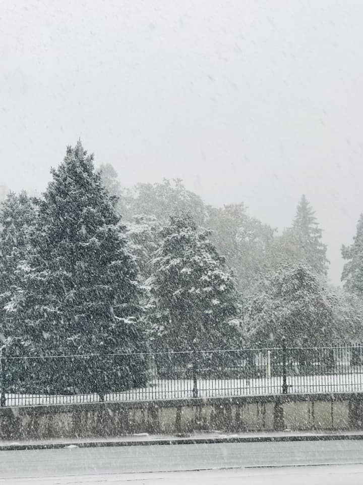 Snow, 10/14